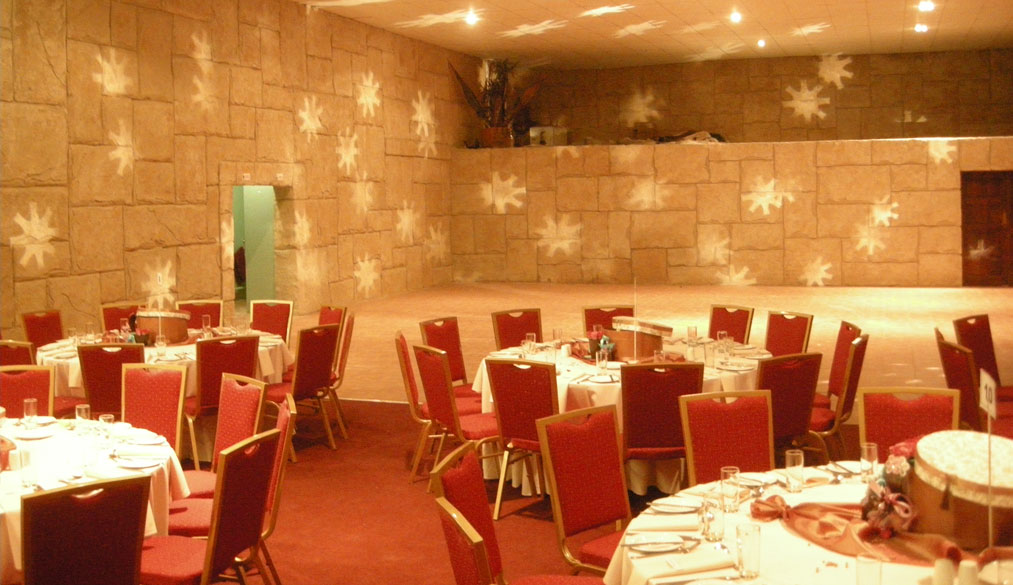 Acrobat Disco Lights Hire in Pretoria Le Freak