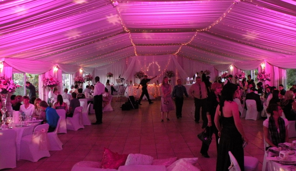 Wedding DJ & Lights